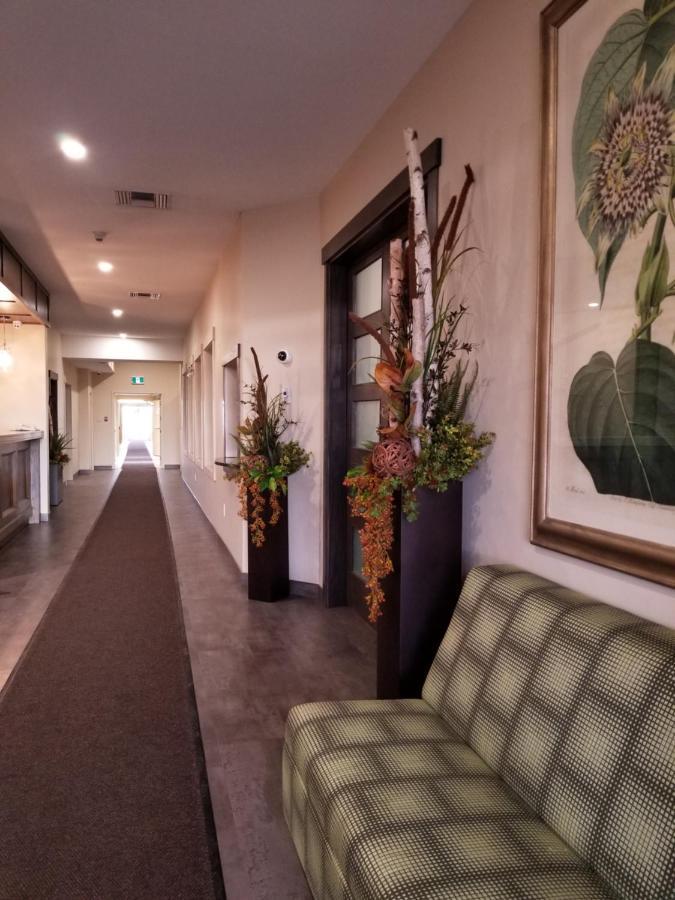Western Budget Inns&Suites Leduc Extérieur photo